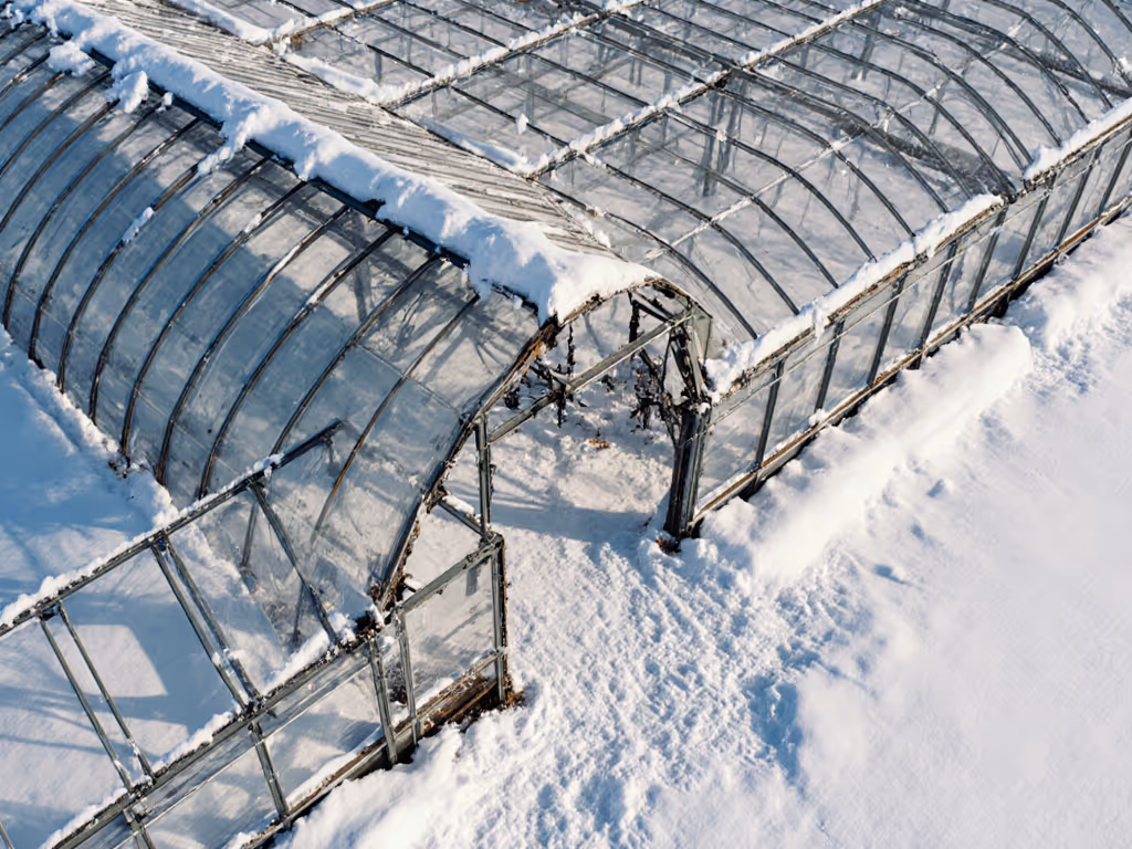 snow_load_failure_modes