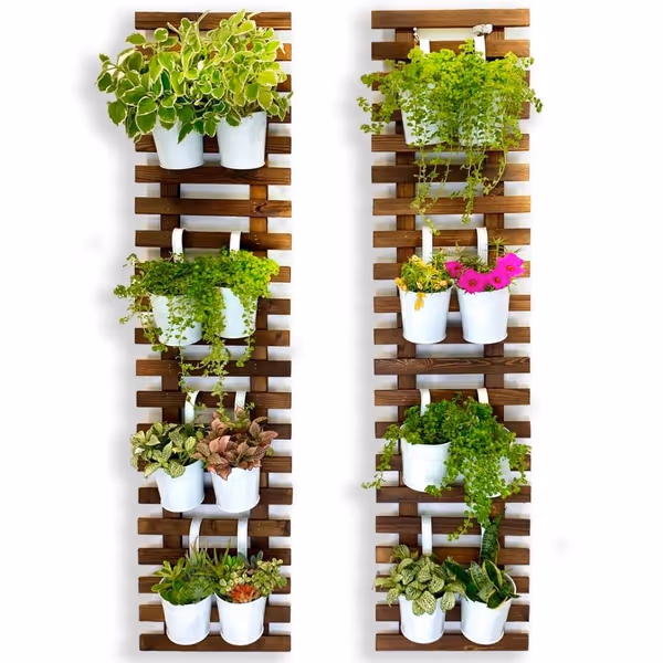 ShopLaLa Wall Planter - 2 Pack