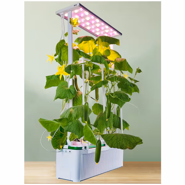 Large Hydroponics Growing System with Trellis & LED Grow Light