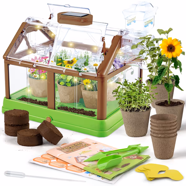 Kids Plant Growing Kit - Solar Green